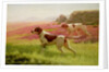 Pointers in a Landscape, 19th century by Harrington Bird
