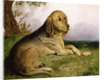A Bloodhound in a Landscape by English School