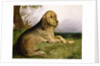 A Bloodhound in a Landscape by English School