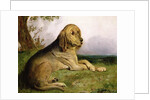A Bloodhound in a Landscape by English School