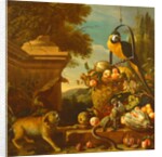 Macaw and a monkey by Melchior de Hondecoeter