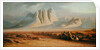 Sinai by Edward Lear