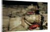 Effigy of Henry IV on his Tomb in Canterbury Cathedral by English School