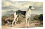 A Greyhound in a hilly landscape by James Henry Beard