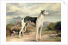 A Greyhound in a hilly landscape by James Henry Beard