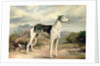 A Greyhound in a hilly landscape by James Henry Beard