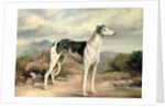 A Greyhound in a hilly landscape by James Henry Beard