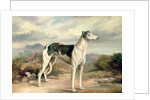 A Greyhound in a hilly landscape by James Henry Beard
