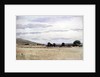 Landscape with Cornfield by John Absolon