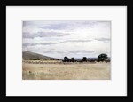 Landscape with Cornfield by John Absolon