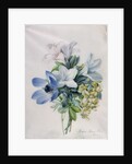 Anemone, wisteria and laburnum by Marie-Anne