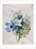 Anemone, wisteria and laburnum by Marie-Anne