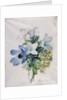 Anemone, wisteria and laburnum by Marie-Anne