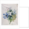 Anemone, wisteria and laburnum by Marie-Anne