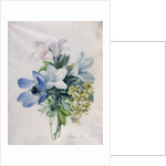 Anemone, wisteria and laburnum by Marie-Anne