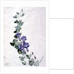 Ivy-leaved Toad Flax by Marie-Anne