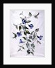 Flower Pieces by Marie-Anne
