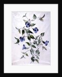 Flower Pieces by Marie-Anne