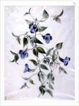 Flower Pieces by Marie-Anne
