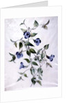 Flower Pieces by Marie-Anne