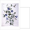 Flower Pieces by Marie-Anne