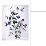 Flower Pieces by Marie-Anne