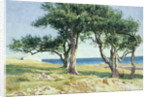 Old Olive Trees, Bordighera by Edwin Bale
