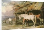 Mares and Foals, 19th century by William Barraud