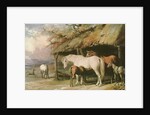Mares and Foals, 19th century by William Barraud