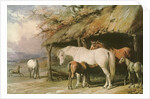 Mares and Foals, 19th century by William Barraud