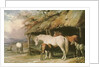 Mares and Foals, 19th century by William Barraud