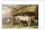 Mares and Foals, 19th century by William Barraud