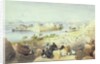 The Island of Philae, looking down the River Nile by William Henry Bartlett