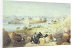 The Island of Philae, looking down the River Nile by William Henry Bartlett