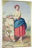Girl with Basket of Grapes, 1860 by Jules I Bouvier