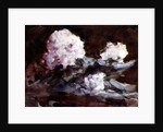 Rhododendrons by Hercules Brabazon Brabazon