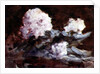 Rhododendrons by Hercules Brabazon Brabazon