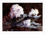 Rhododendrons by Hercules Brabazon Brabazon