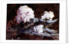Rhododendrons by Hercules Brabazon Brabazon