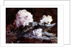 Rhododendrons by Hercules Brabazon Brabazon