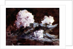 Rhododendrons by Hercules Brabazon Brabazon