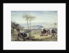 Laodicea, Asia Minor by William Brockedon