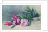 Oleander Blossom by Mary E. Butler