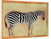 Zebra by Mansur (attr. to)