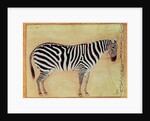 Zebra by Mansur (attr. to)