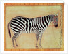 Zebra by Mansur (attr. to)