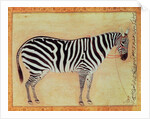 Zebra by Mansur (attr. to)