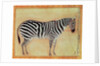 Zebra by Mansur (attr. to)