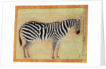 Zebra by Mansur (attr. to)