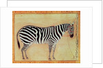 Zebra by Mansur (attr. to)